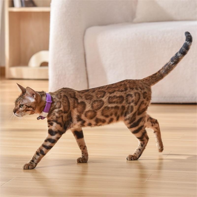 CAT TOY AUTOMATIC LASER
