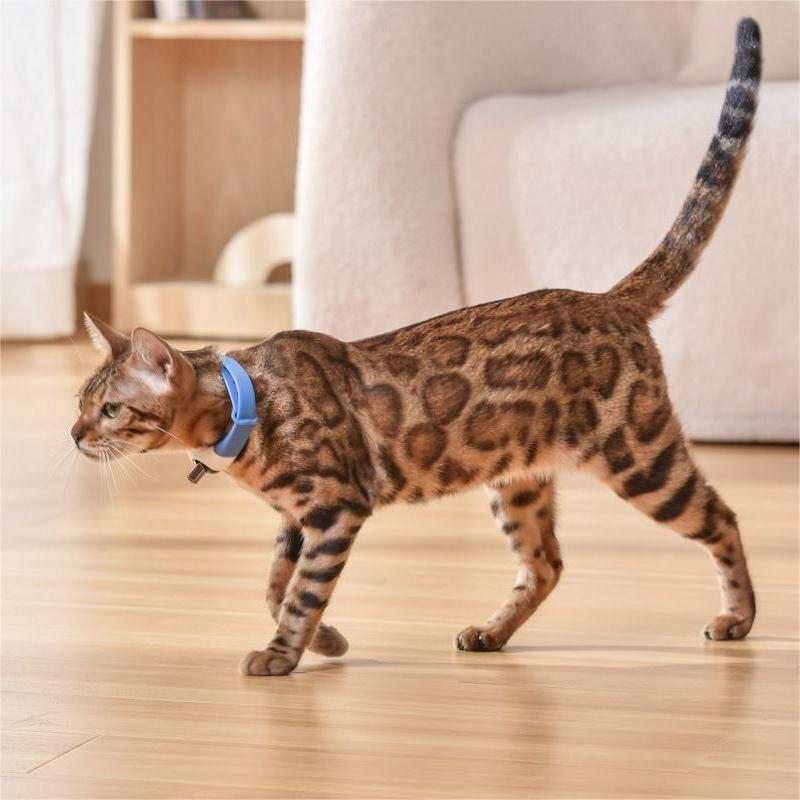 CAT TOY AUTOMATIC LASER