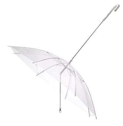Pet walking transparent umbrella
