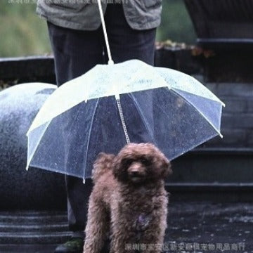Pet walking transparent umbrella