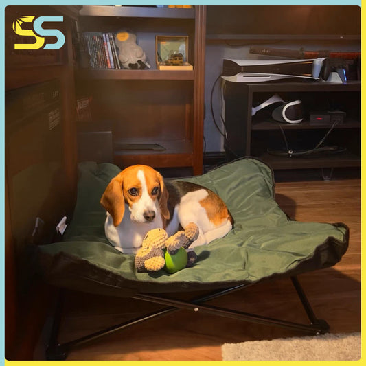 detachable cat and dog mattress