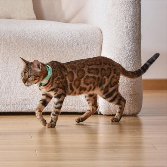 CAT TOY AUTOMATIC LASER